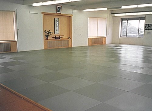Tatami puzzle