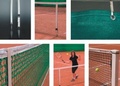 Tenis